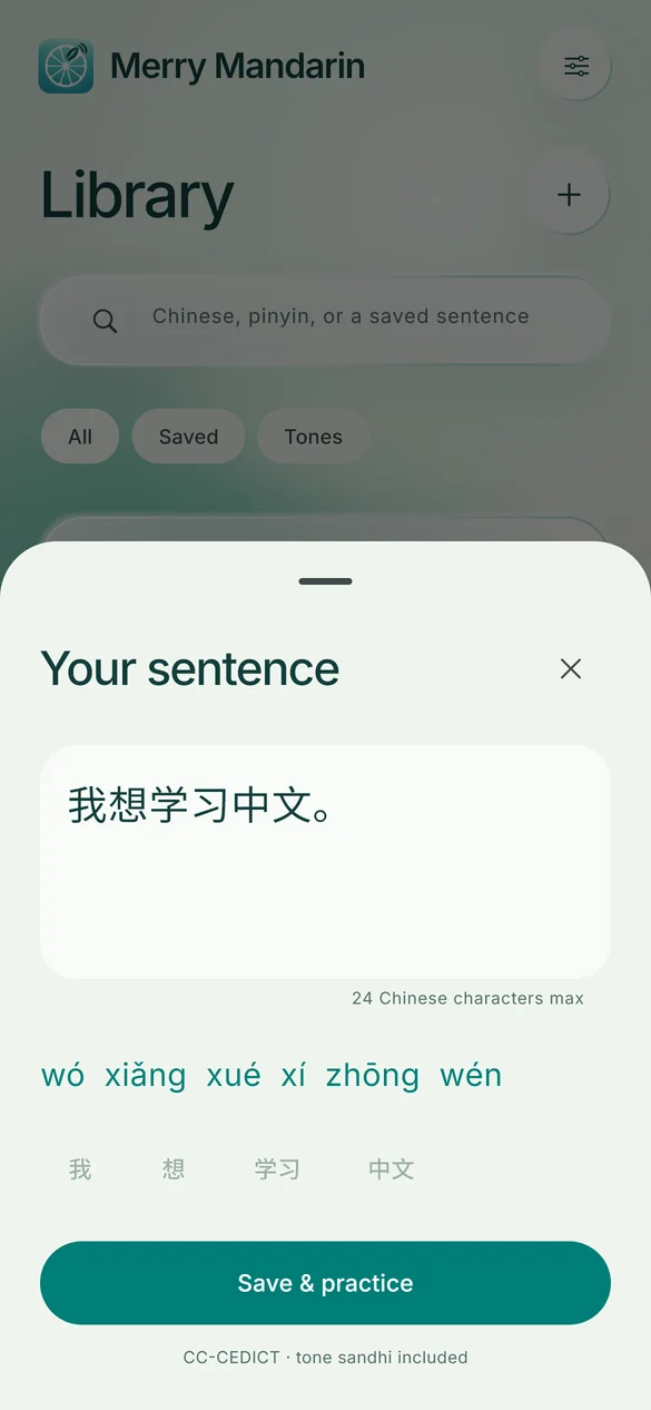 The app’s sentence editor with 我想学习中文 and the reading wǒ xiǎng xué xí zhōng wén.